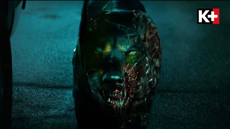 ca-dong-vat-cung-co-the-bien-thanh-zombie