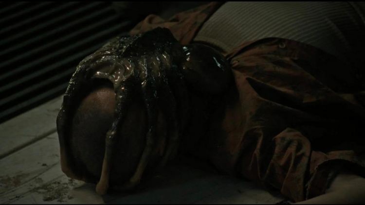 noi-am-anh-mang-ten-facehugger