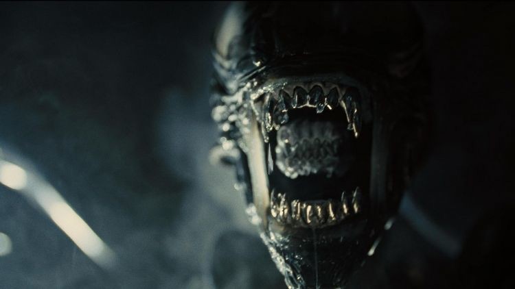 xenomorph-bieu-tuong-cua-dong-phim-alien