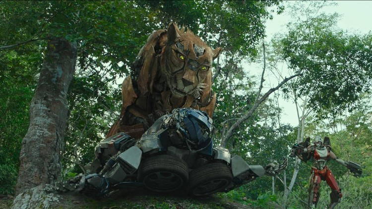 Maximals trong phim Transformers: Rise of the Beast