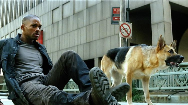 will-smith-trong-i-am-legend