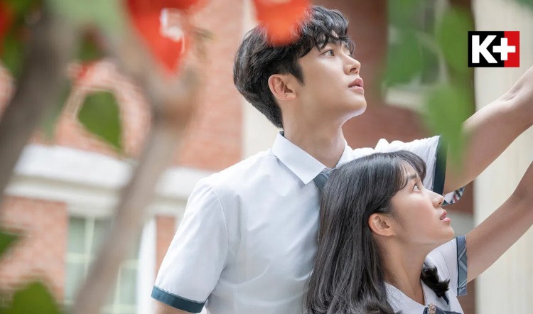 Poster phim Vô tình tìm thấy Haru