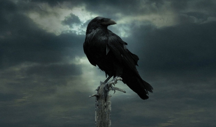 Biểu tượng quạ ba mắt trong Game of Thrones