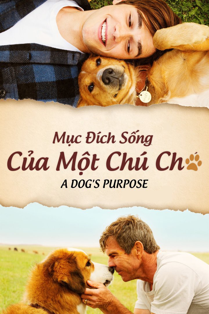 Mục đích sống của một chú chó/A dog's purpose